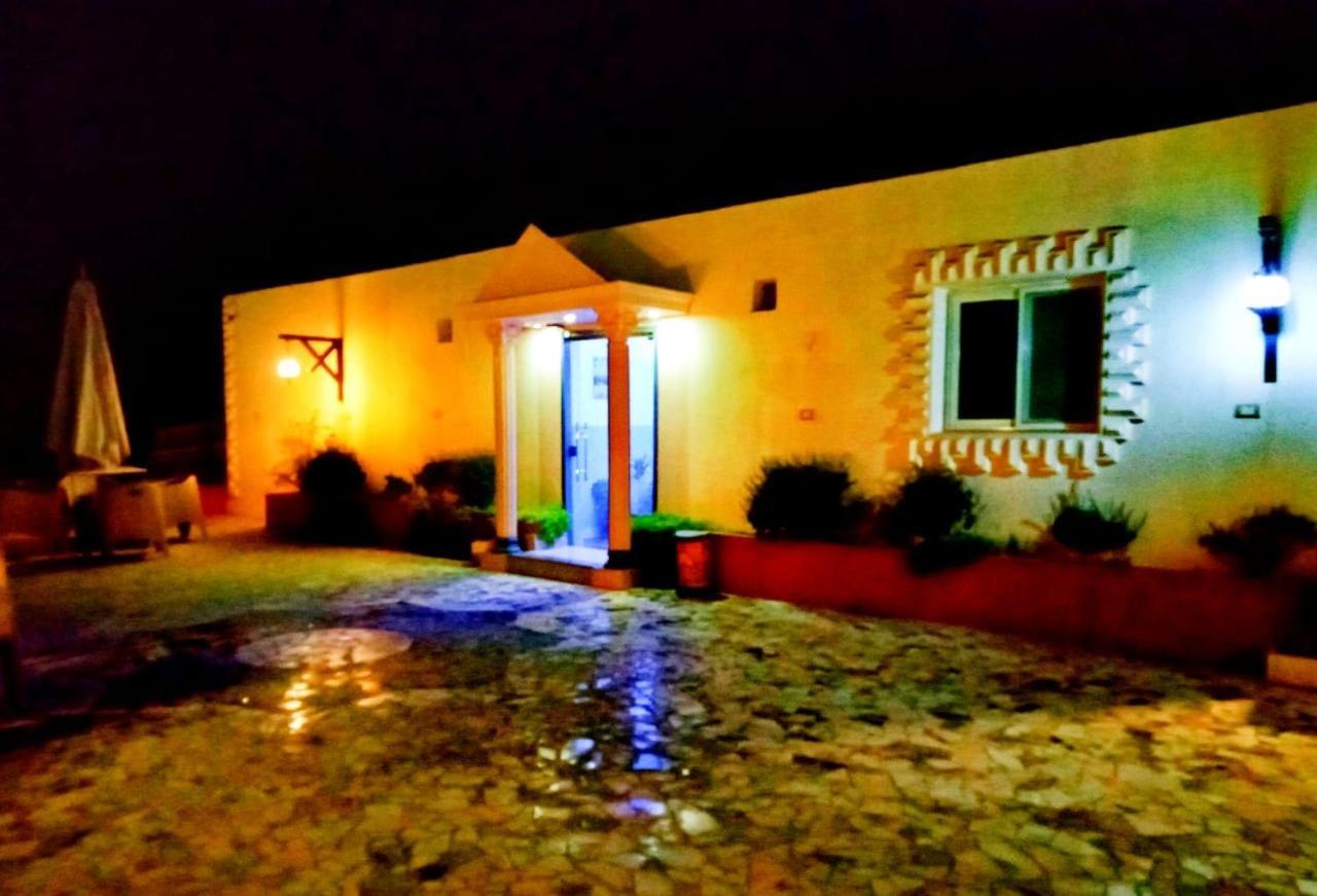 ホテル Carpet Alaadein Pyramids View Kafret el-Gabal エクステリア 写真