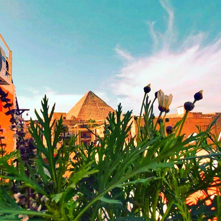 ホテル Carpet Alaadein Pyramids View Kafret el-Gabal エクステリア 写真