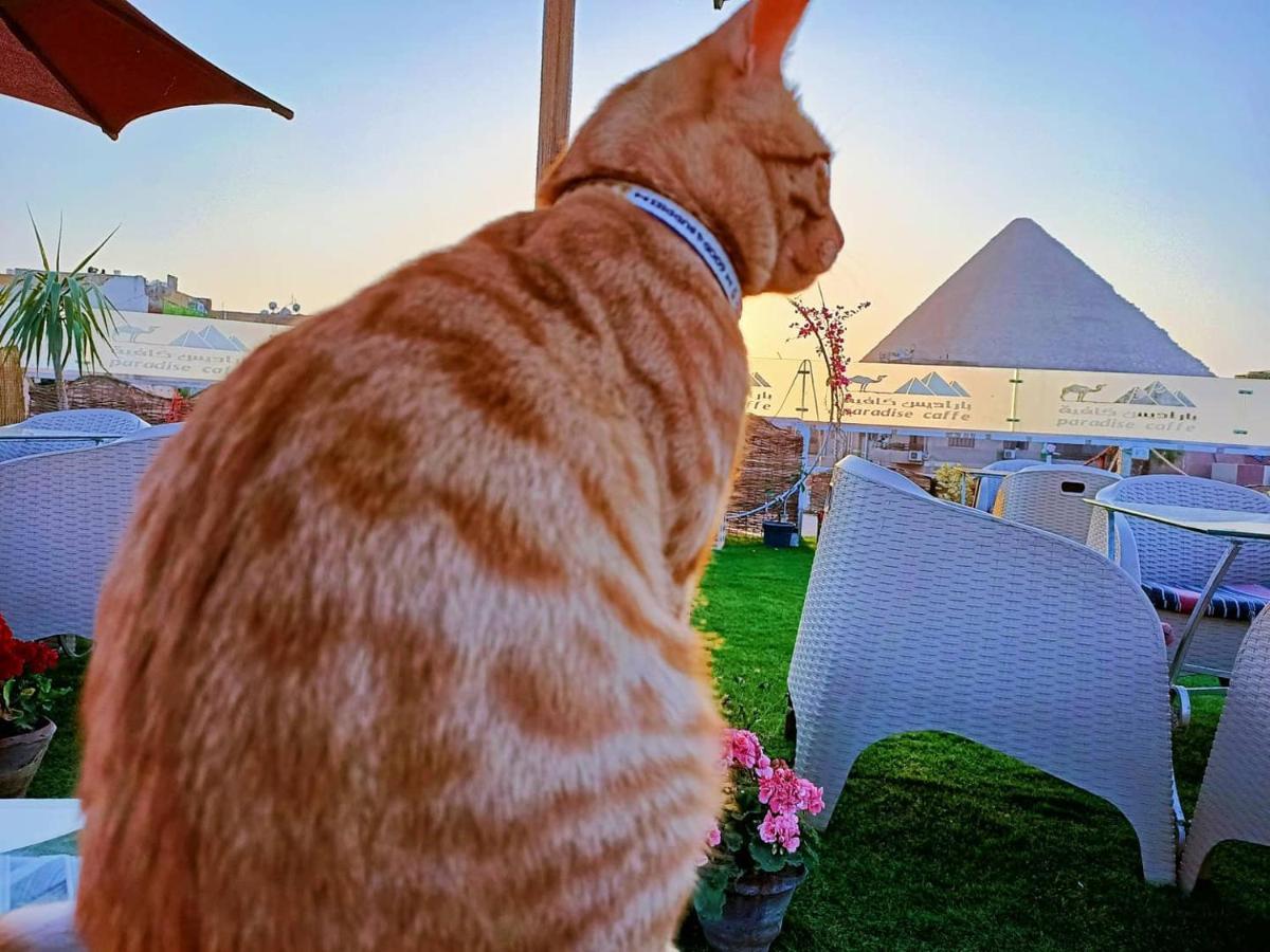 ホテル Carpet Alaadein Pyramids View Kafret el-Gabal エクステリア 写真