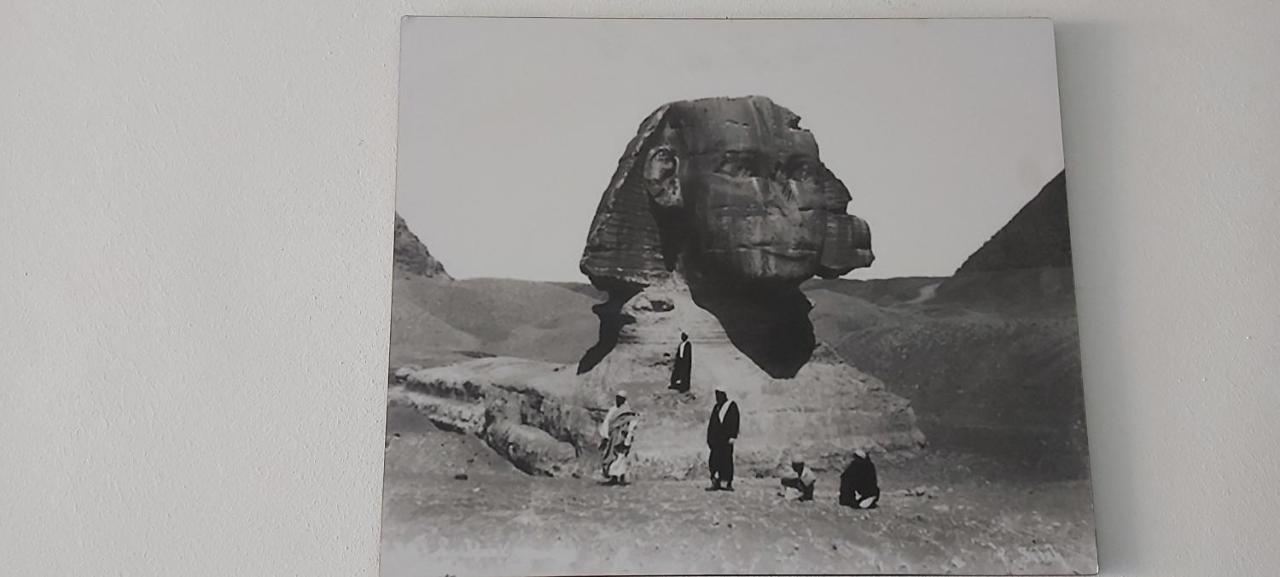 ホテル Carpet Alaadein Pyramids View Kafret el-Gabal エクステリア 写真